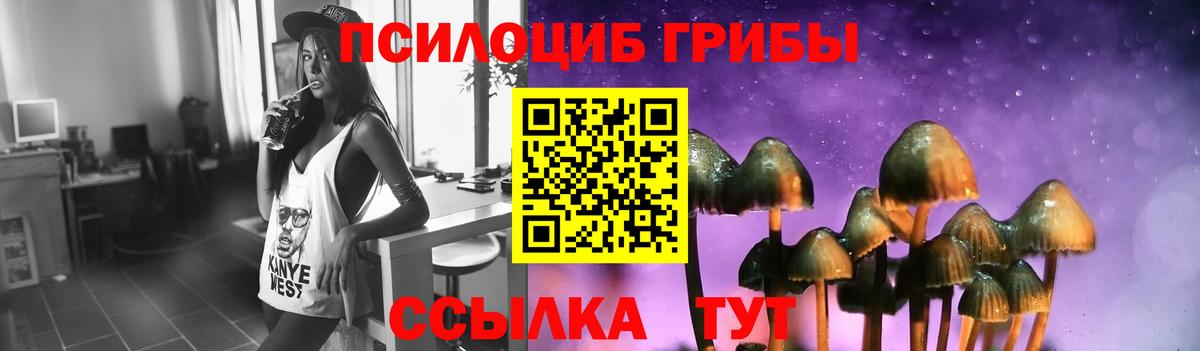 Искитим  Псилоцибиновые грибы мухоморы  как найти   Вход с VPN  Псилоцибиновые грибы мухоморы 